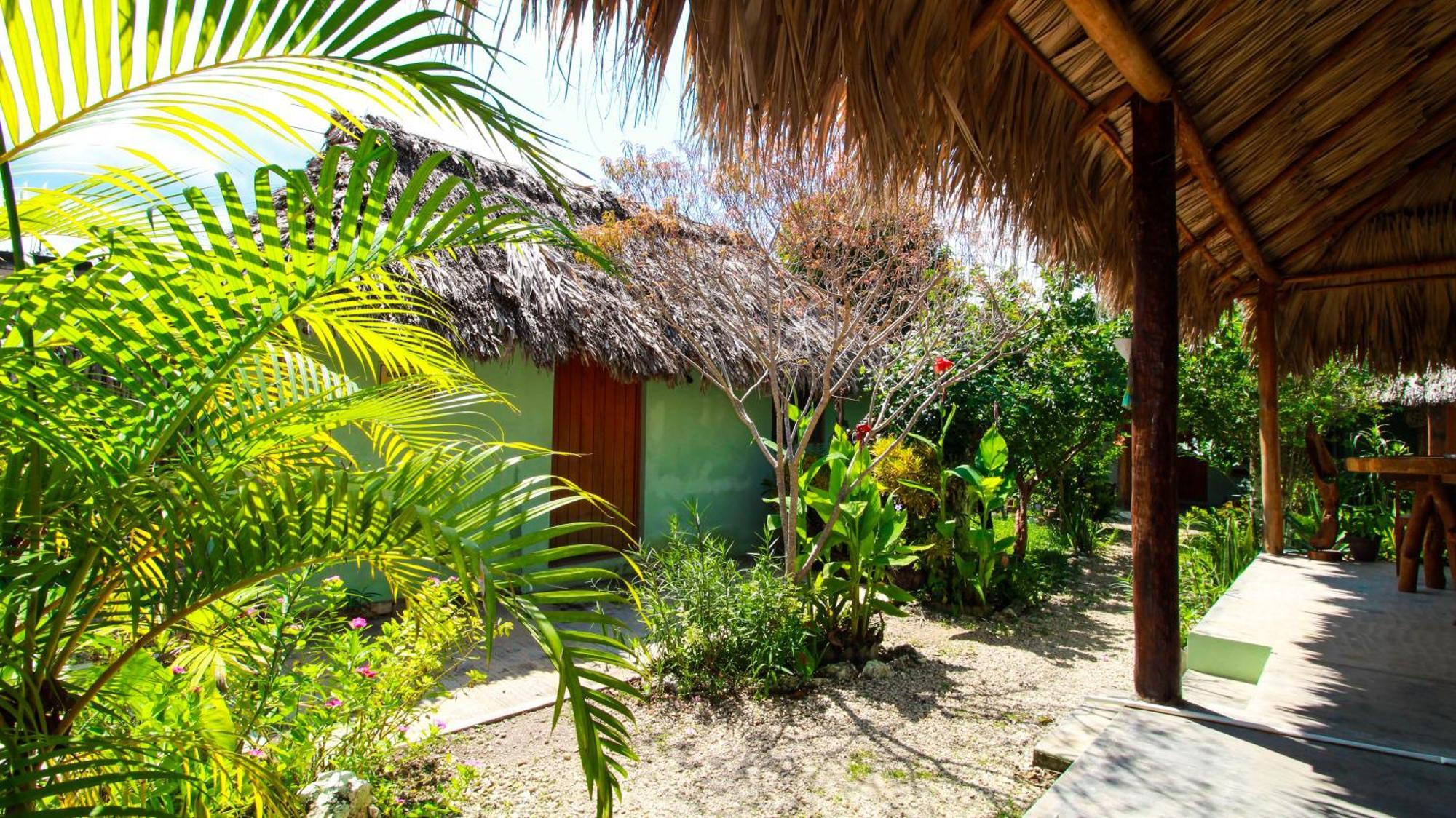 Las Palmas Bacalar Esterno foto