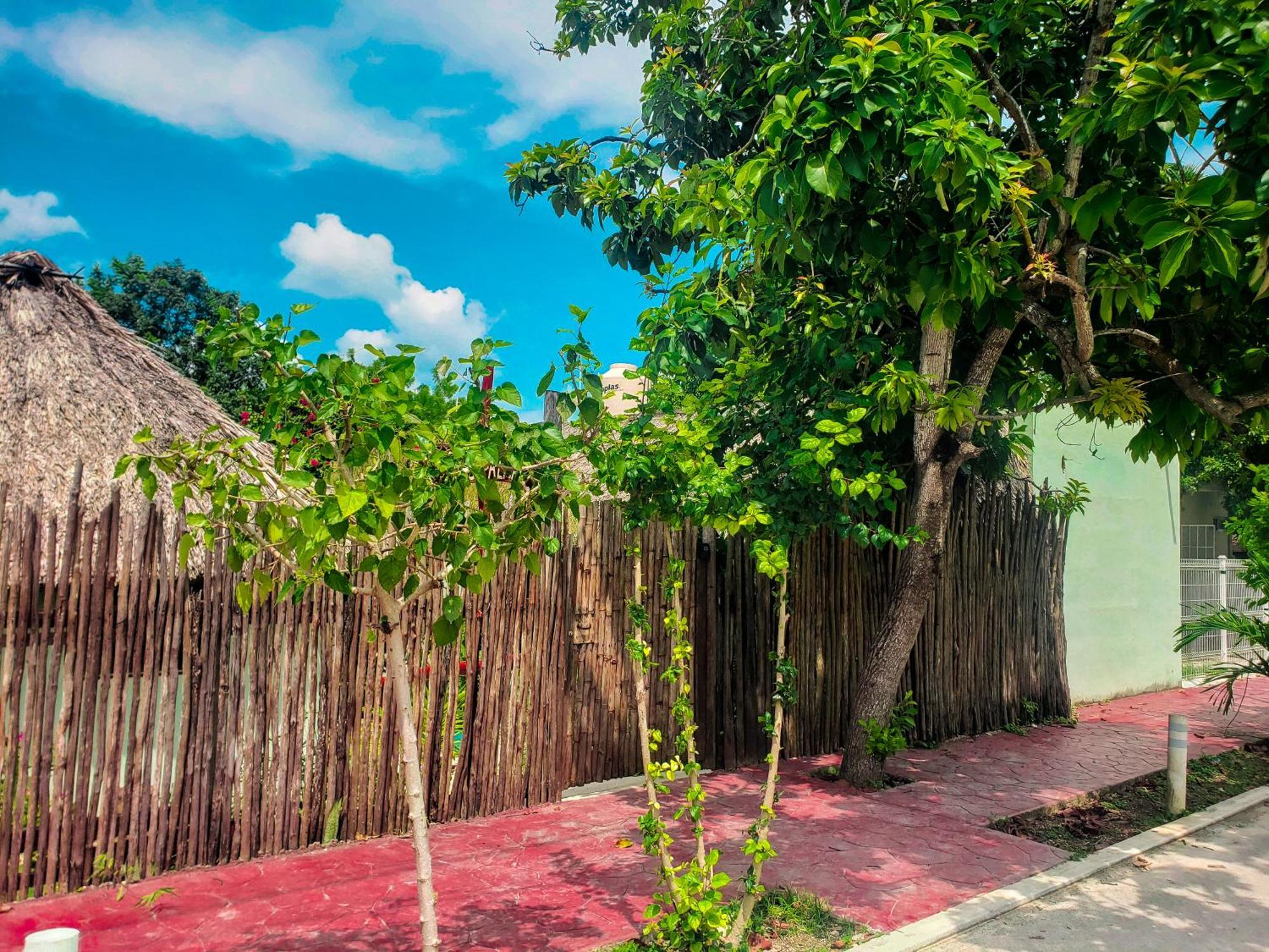 Las Palmas Bacalar Esterno foto